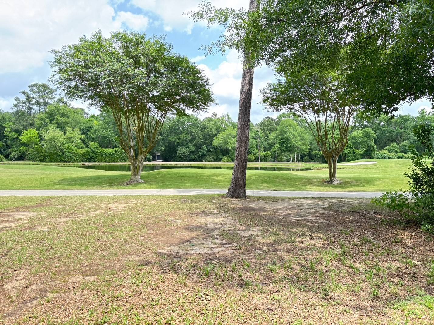 Spring, TX 77380,10816 Colony Wood PL
