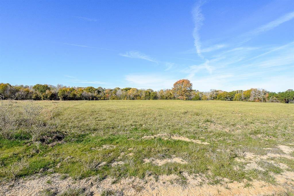 Crockett, TX 75835,111 Buckhorn Creek DR