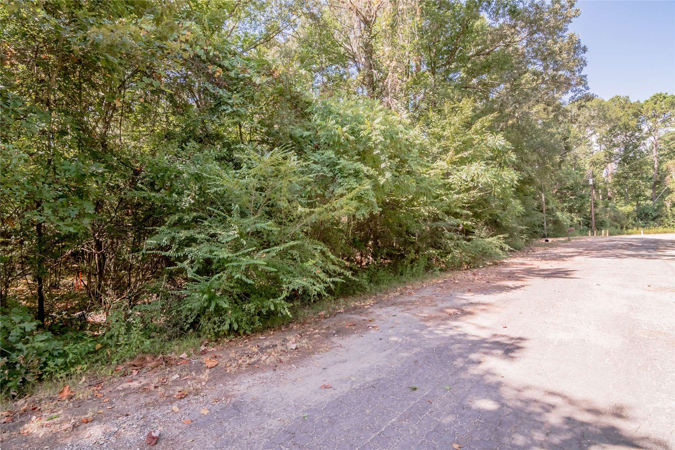 Livingston, TX 77351,Lot 13 Forester