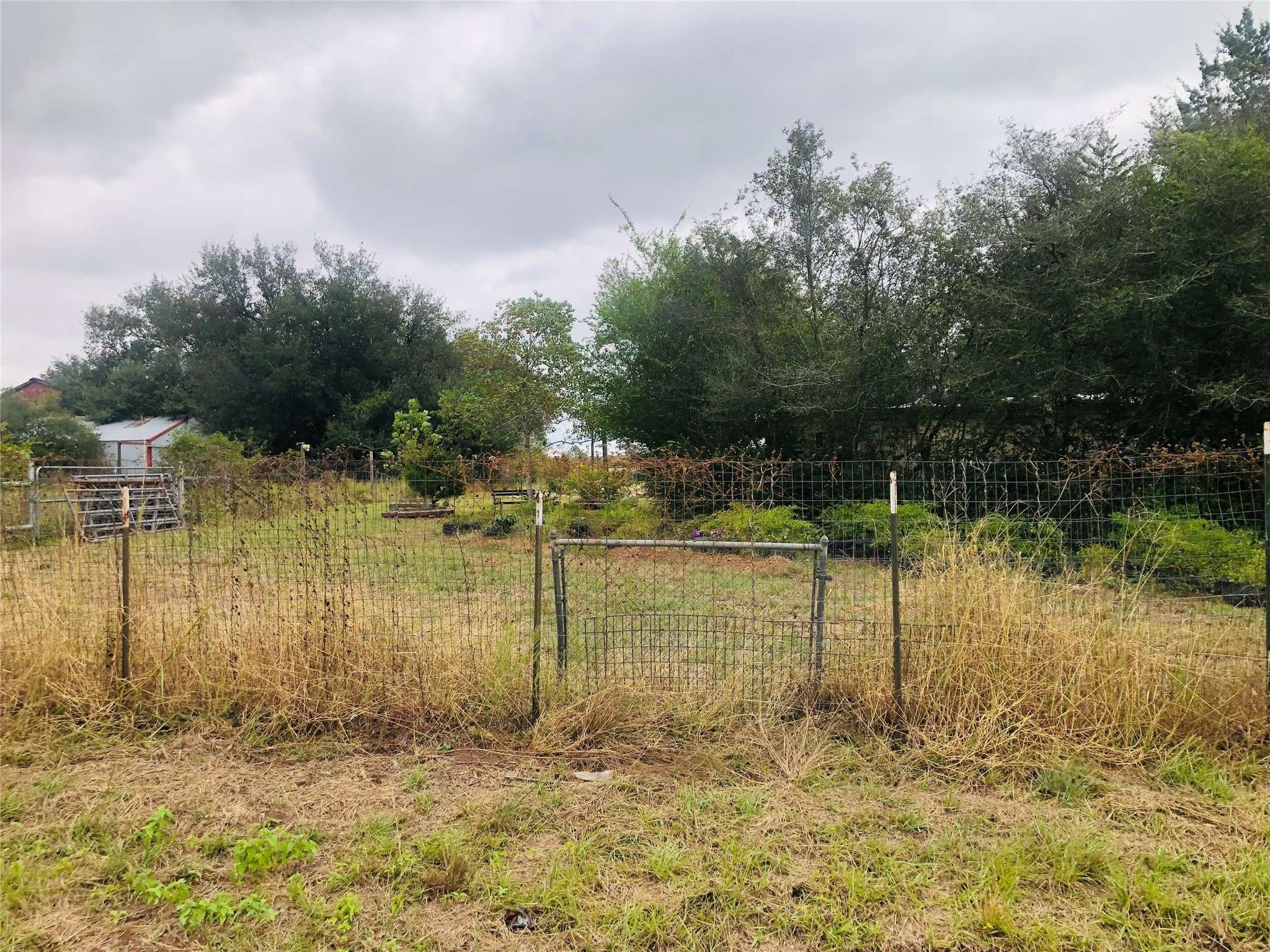 Prairie View, TX 77446,000 Joan of Arc