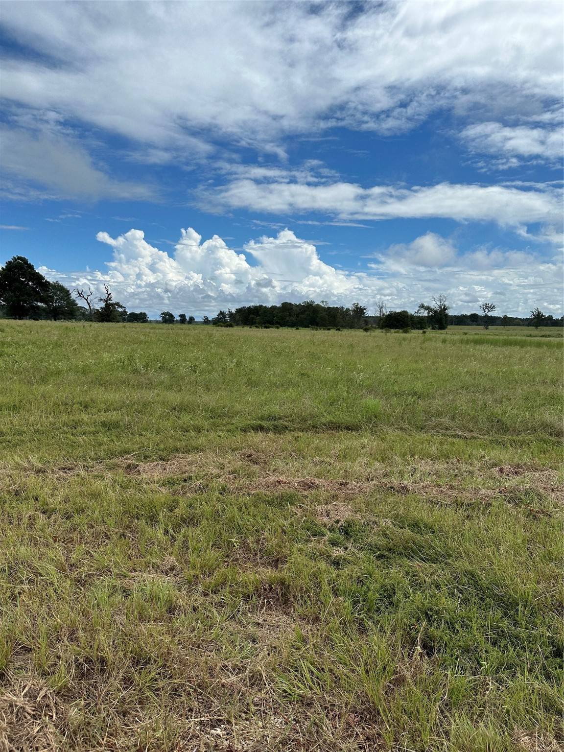Centerville, TX 75833,TBD Private Road 2316 TR 47 TR48