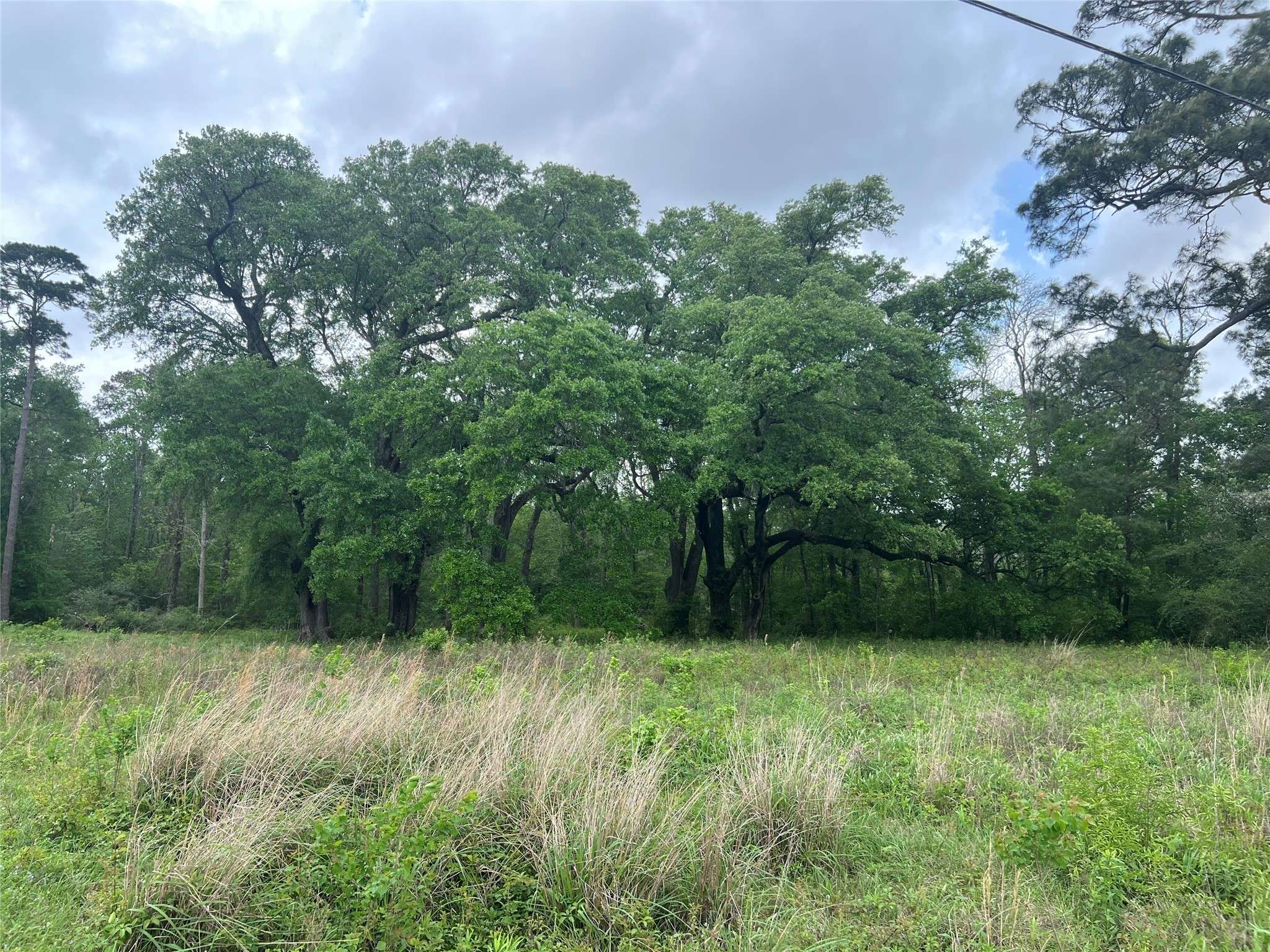 Ames, TX 77575,000 N Mlk DR