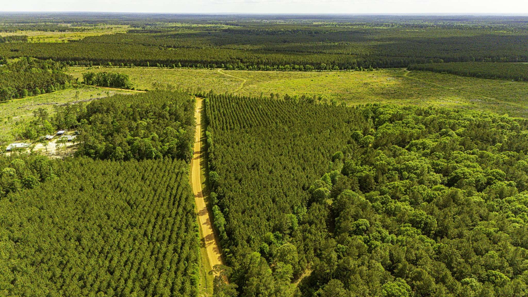 Livingston, TX 77351,TBD Menard Chapel RD