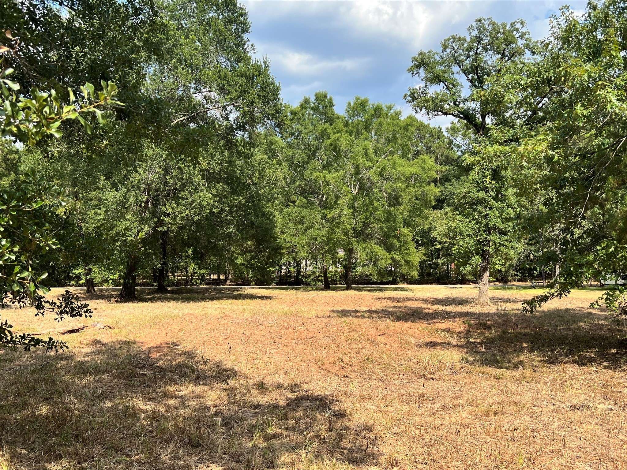 Magnolia, TX 77354,Lot 195 Octavia Dr