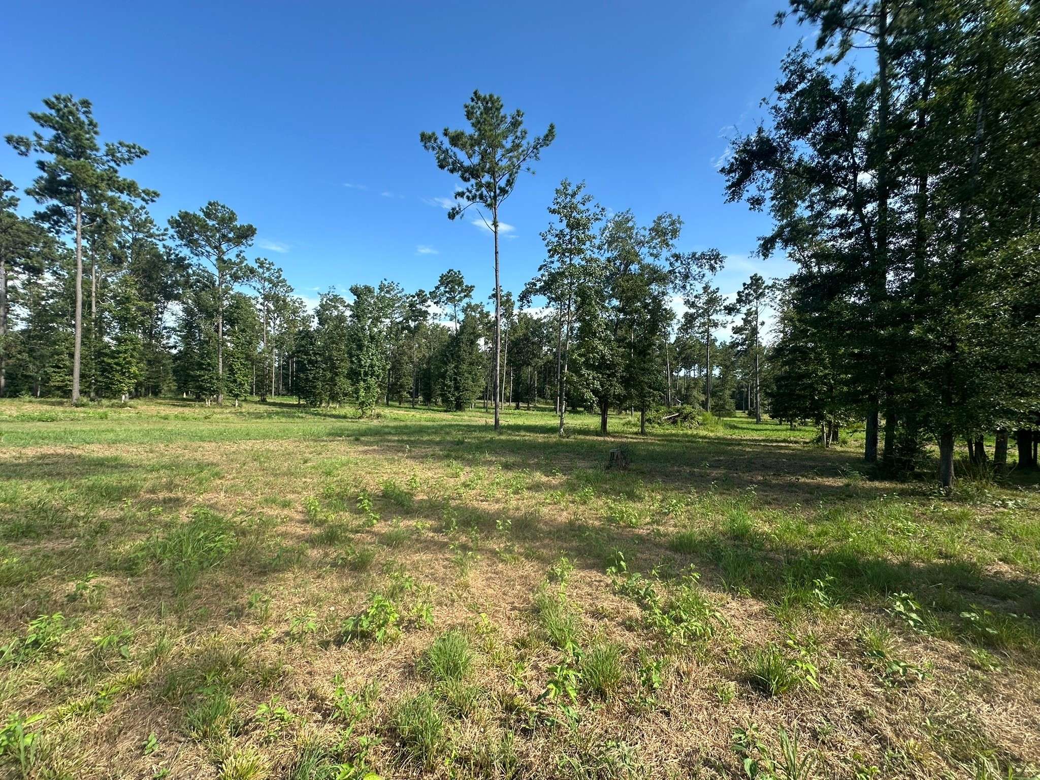 Livingston, TX 77351,TBD Aggie AVE