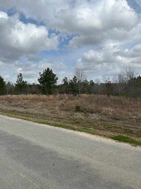 Cleveland, TX 77327,195 County Road 3581