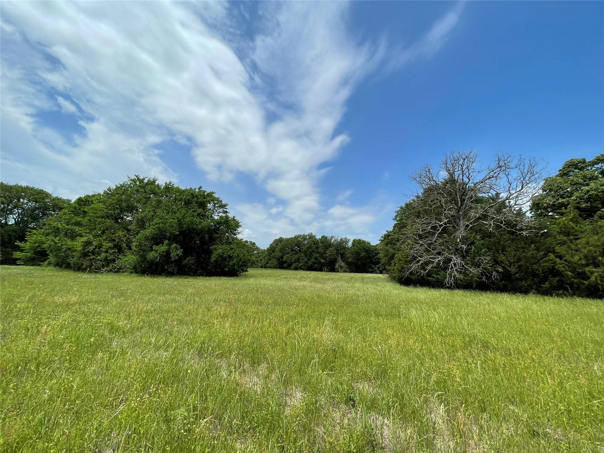 Fairfield, TX 75840,Tbd Tract 6 11.61 Acres FCR 510