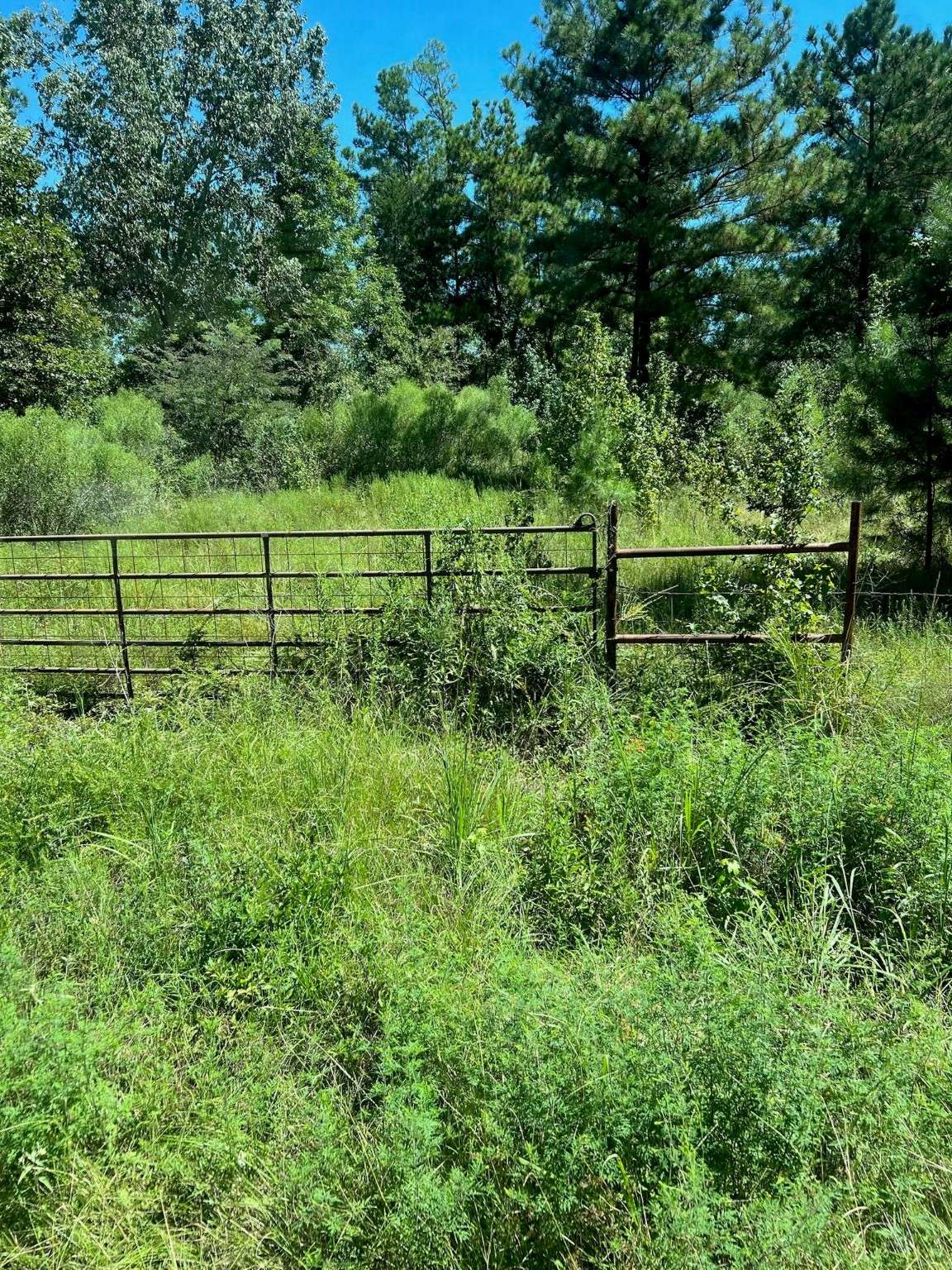 Marshall, TX 75642,0000 EDDINGTON ROAD
