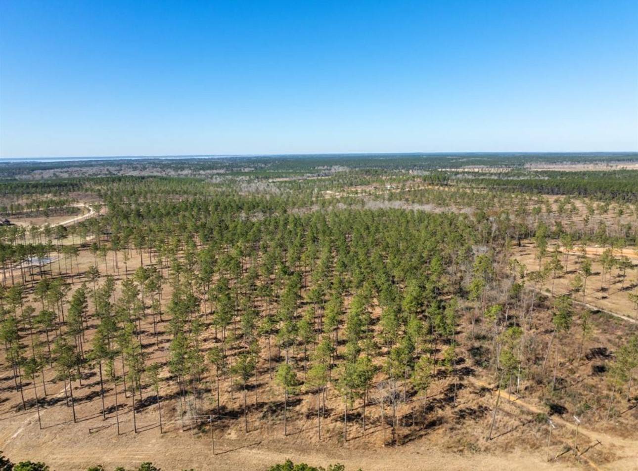 Livingston, TX 77351,TBD Red Lowe RD