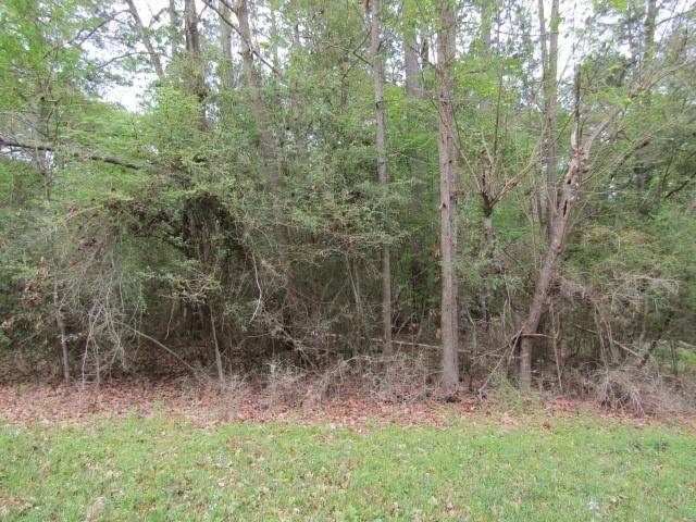Onalaska, TX 77360,Lot 1 Elk ST