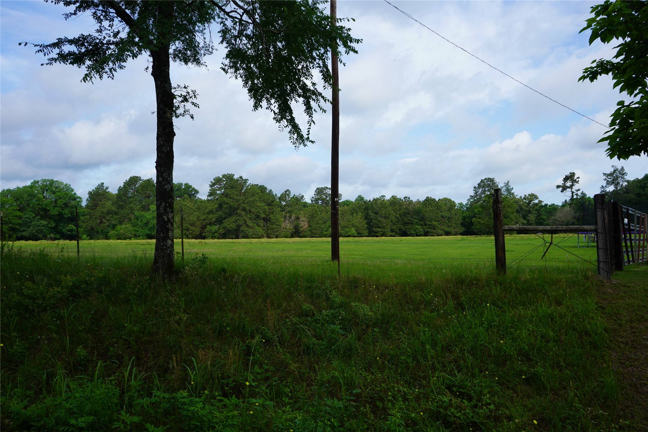 Lovelady, TX 75851,1584 County Rd 3545