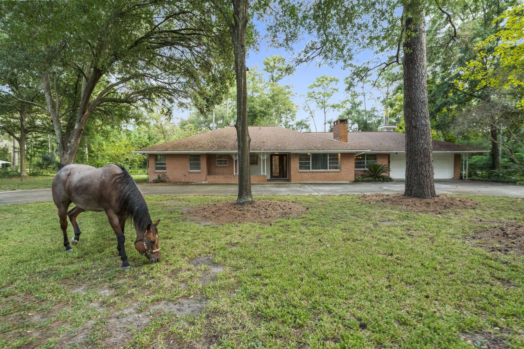 Houston, TX 77080,9821 Shadow Wood DR