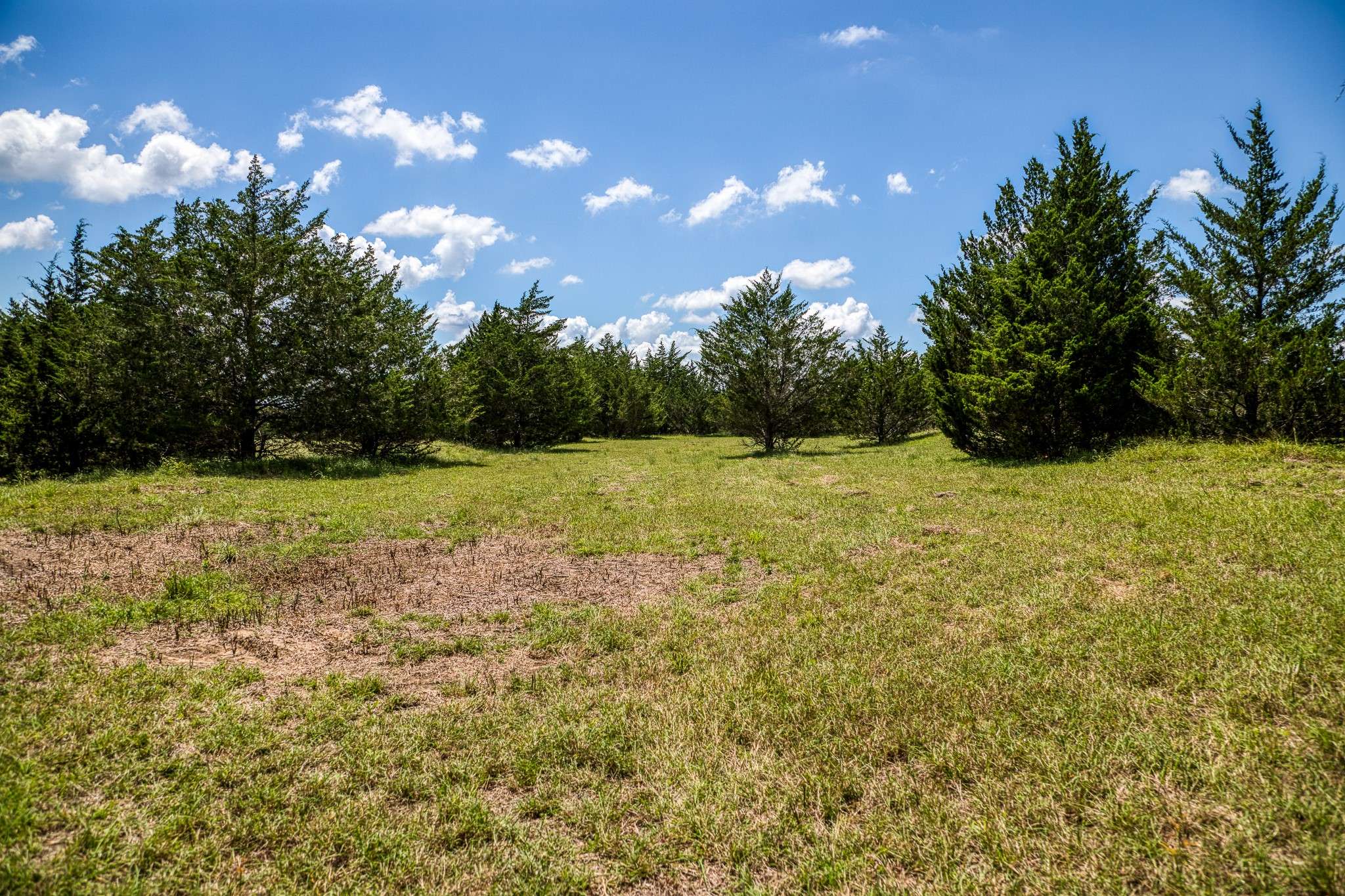 New Ulm, TX 78950,4599 Track RD