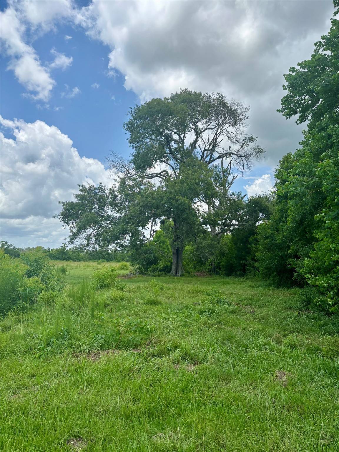 Cleveland, TX 77327,2408 County Road 2235 Res County Road