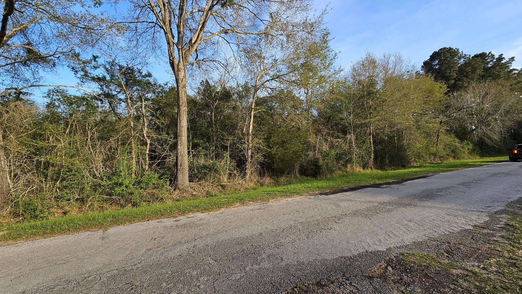 Hempstead, TX 77445,0 Killarney Road