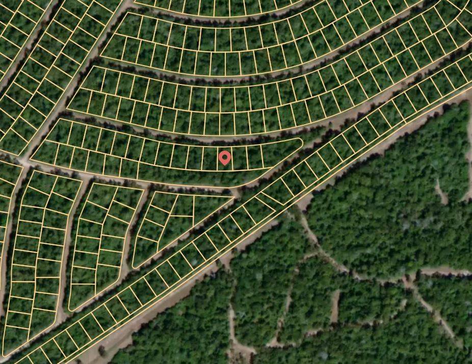 Normangee, TX 77871,Lot 4 High RDG