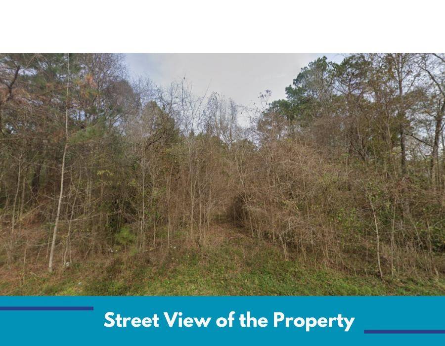 New Waverly, TX 77358,TBD Hawthorne RD