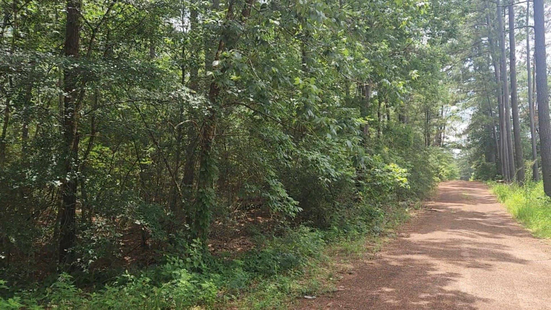 Plantersville, TX 77363,Lot 6 Cherry Tree LN