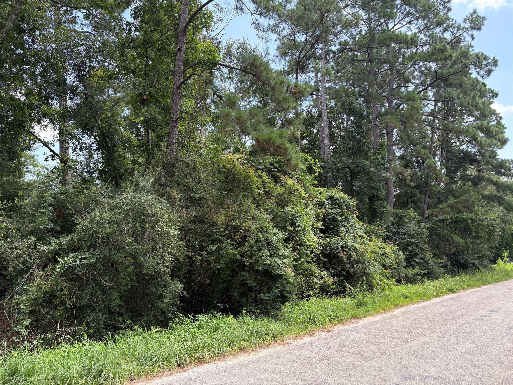 Conroe, TX 77306,17321 Shadow LN