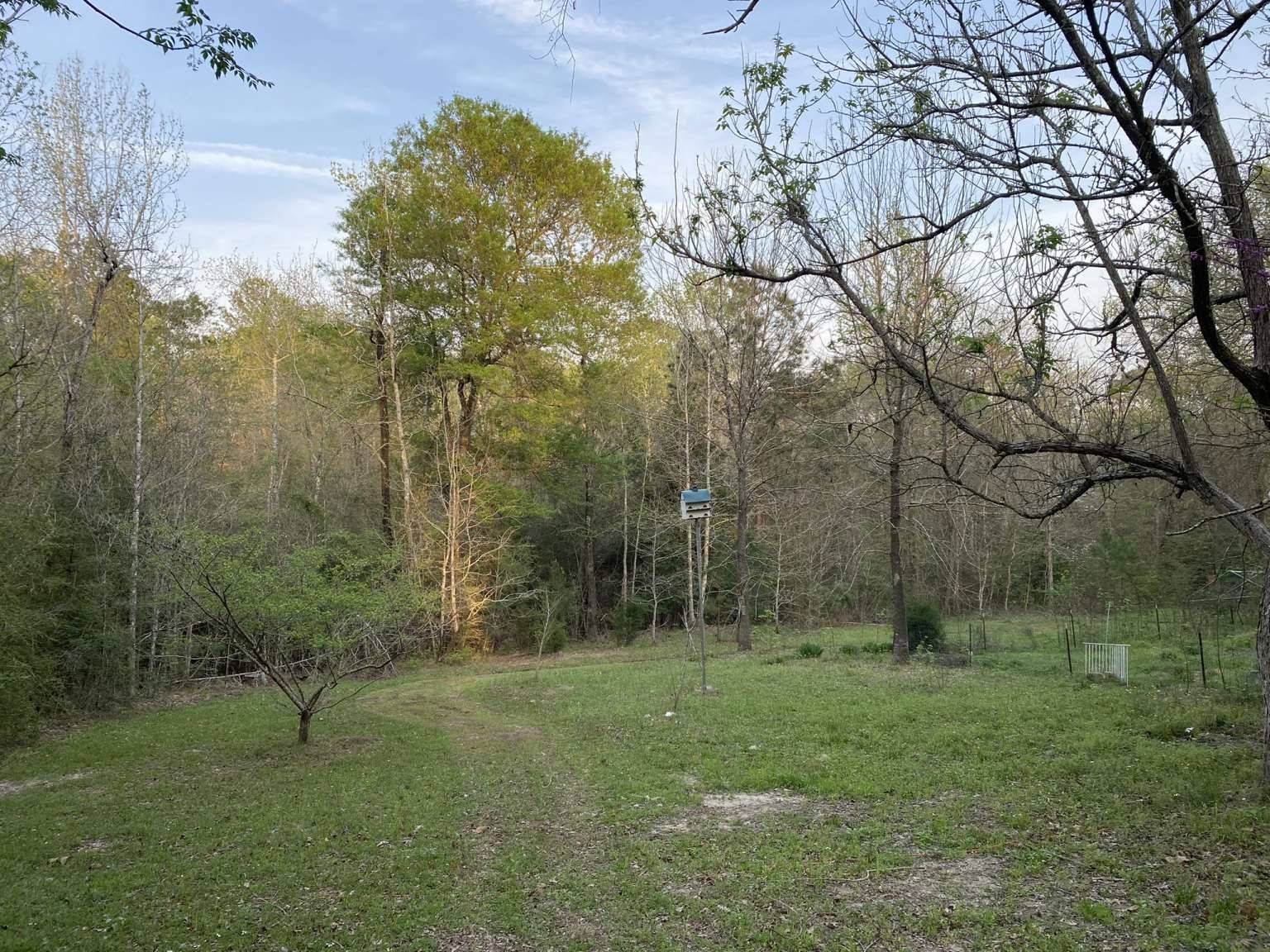 Point Blank, TX 77331,511 Mt Zion RD