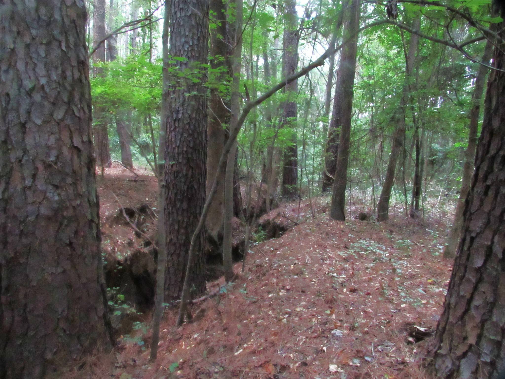 Marshall, TX 75694,TBD FM 1793