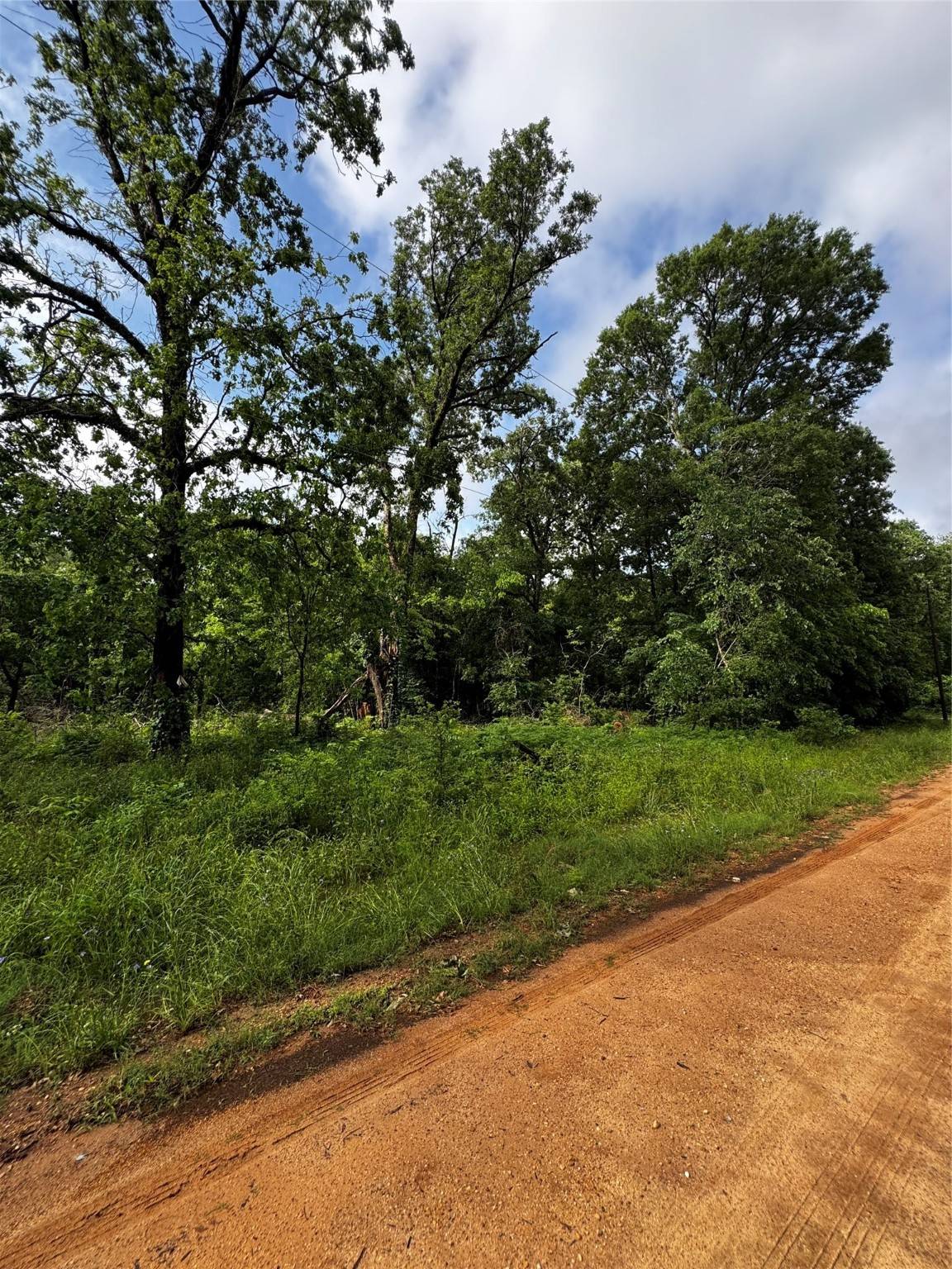 Coldspring, TX 77331,TBD Mudd St