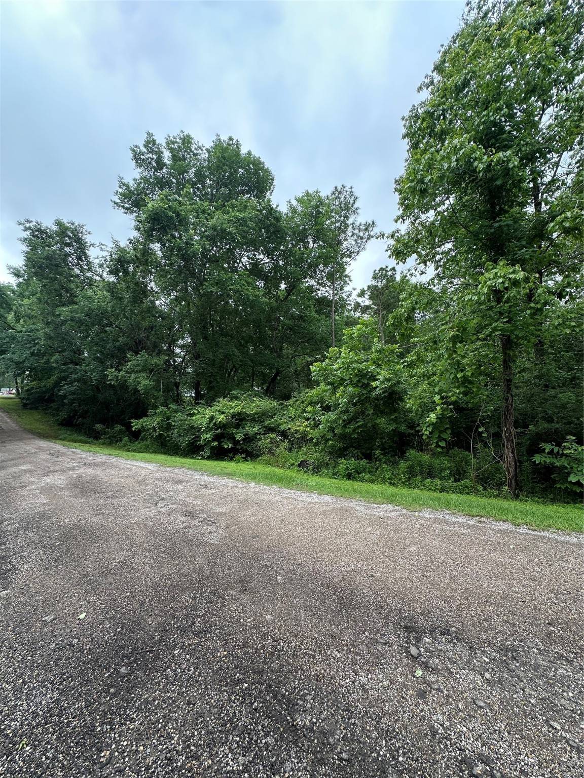 Point Blank, TX 77364,TBD Lot #32 Whippoorwill LN