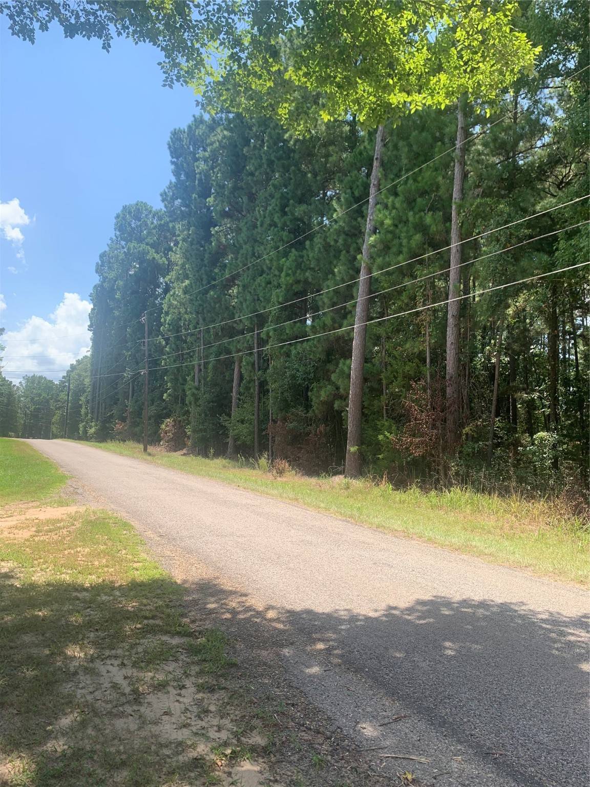 Daingerfield, TX 75638,CR 1145 Lundy Lane LN
