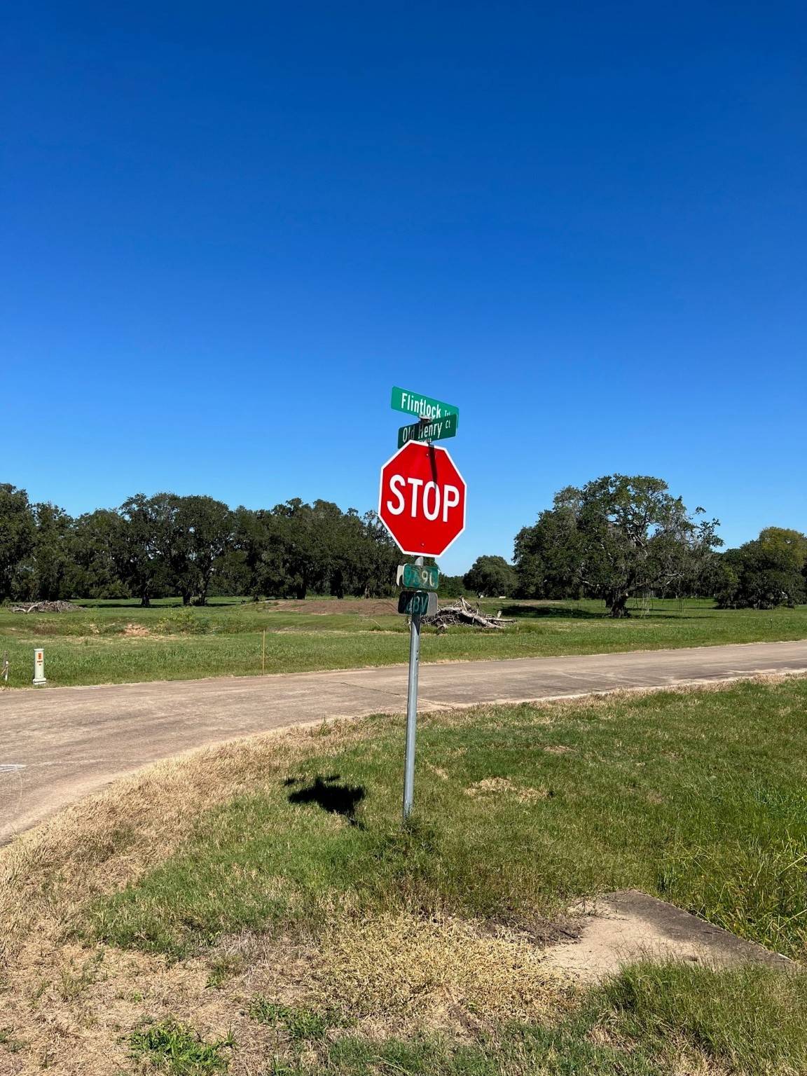 Angleton, TX 77515,1601 Old Henry CT