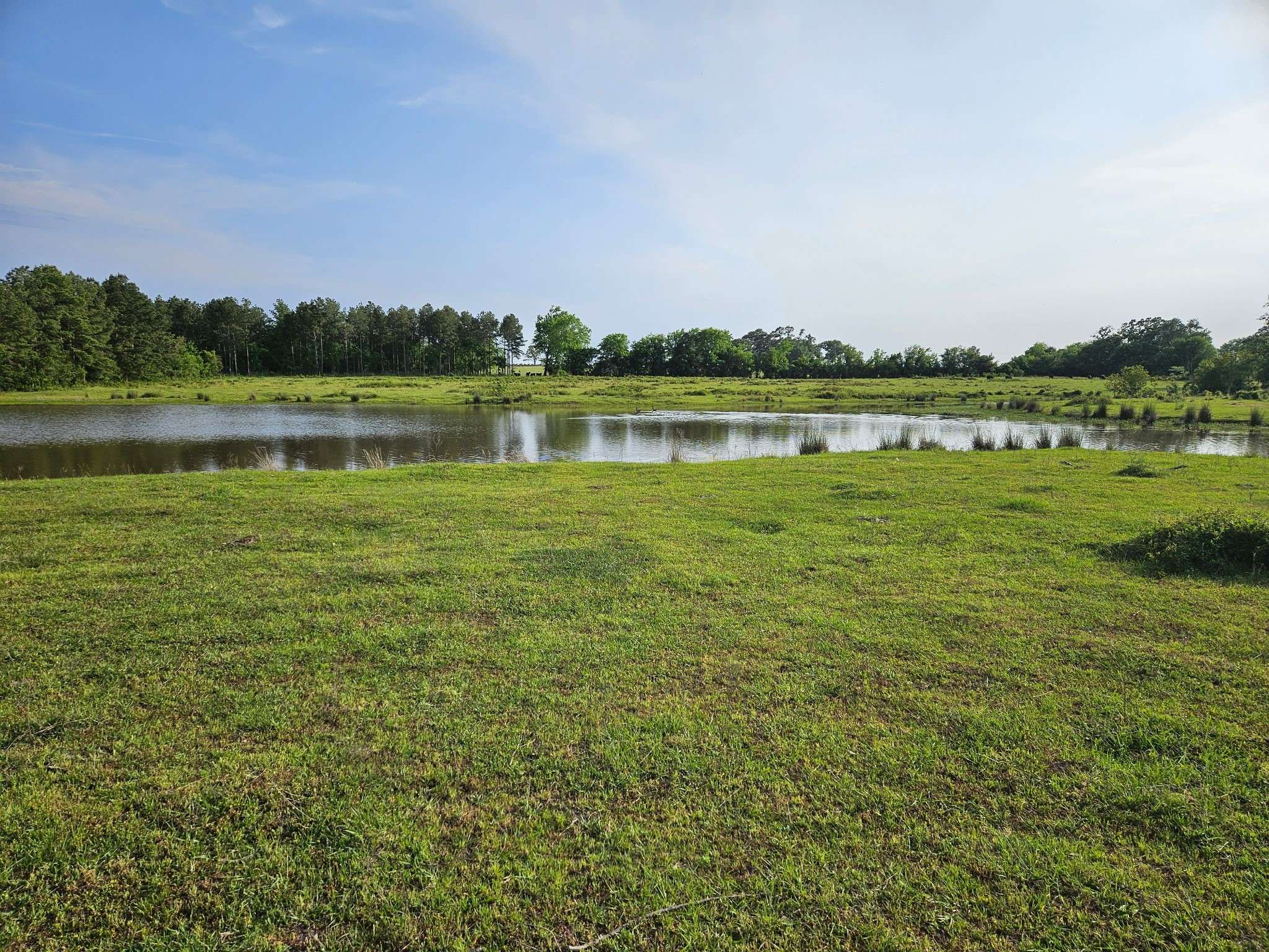 Huntsville, TX 77340,377 Fm 3179 RD