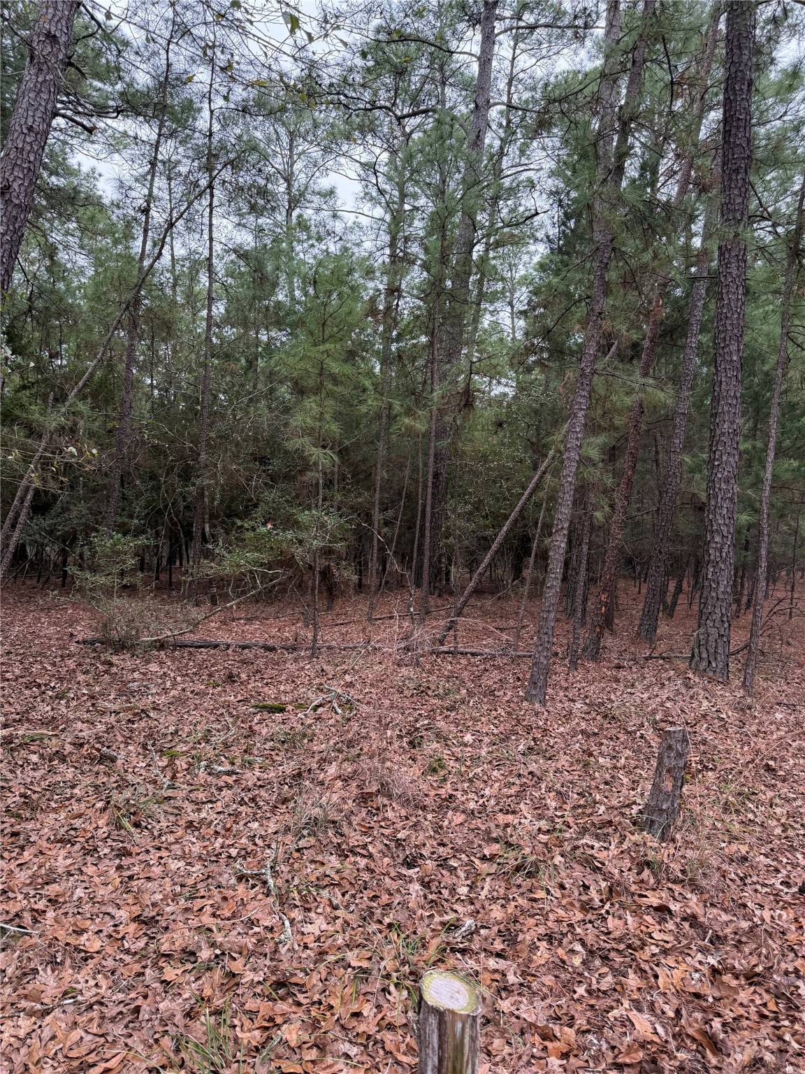 La Grange, TX 78945,000 Red Fox RD