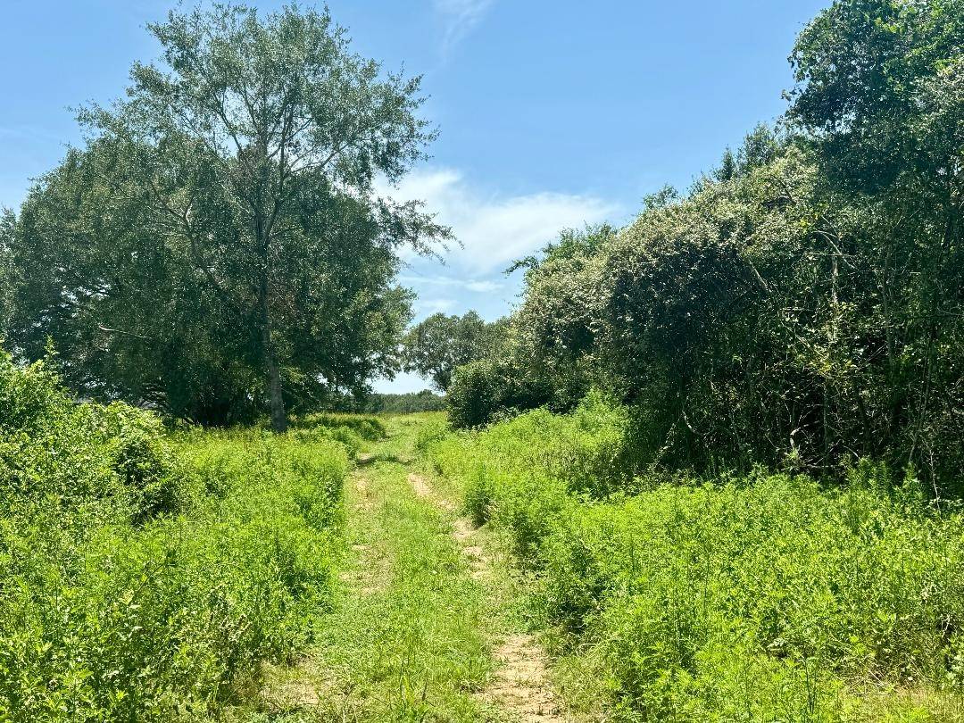 Prairie View, TX 77445,00000 Chapel Ln