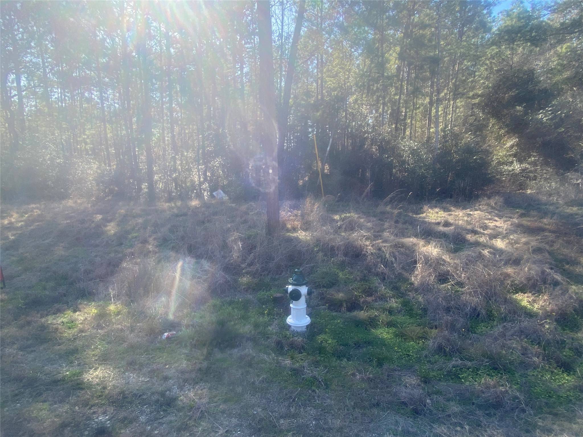 Huntsville, TX 77340,273 DIPPING VAT ROAD