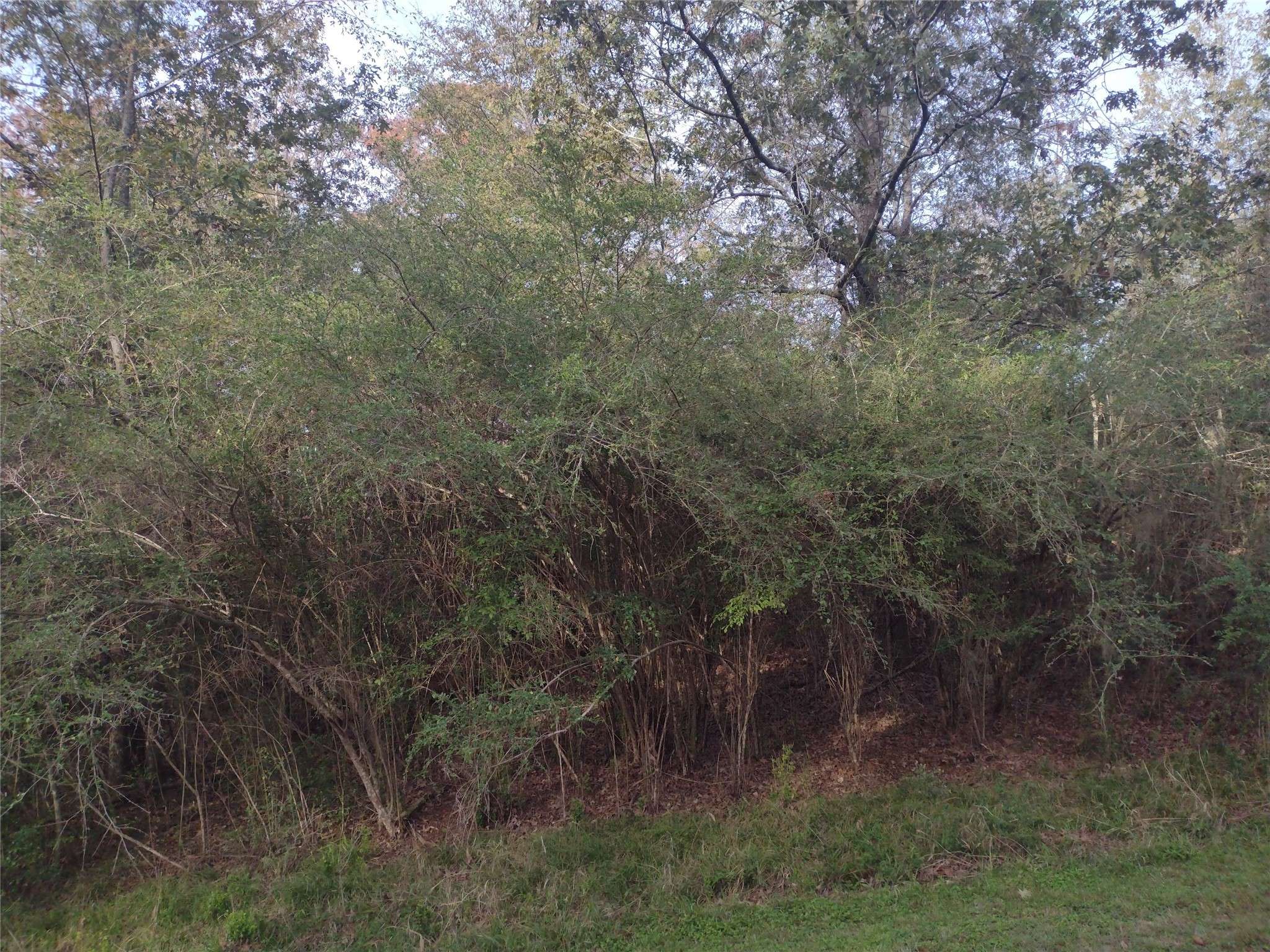 Onalaska, TX 77360,00 Idlewilde