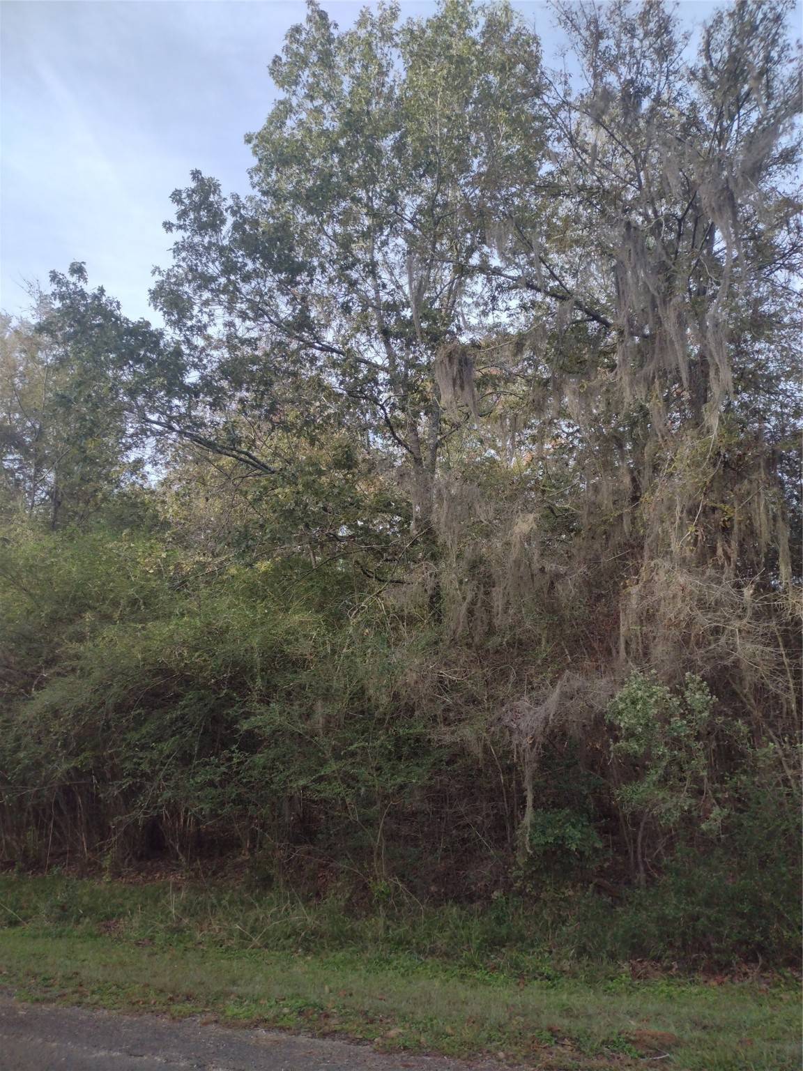 Onalaska, TX 77360,00 Idlewilde