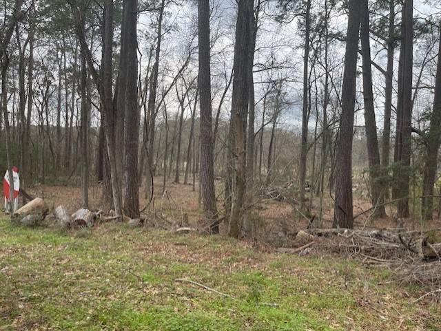 Point Blank, TX 77364,150 Cove DR