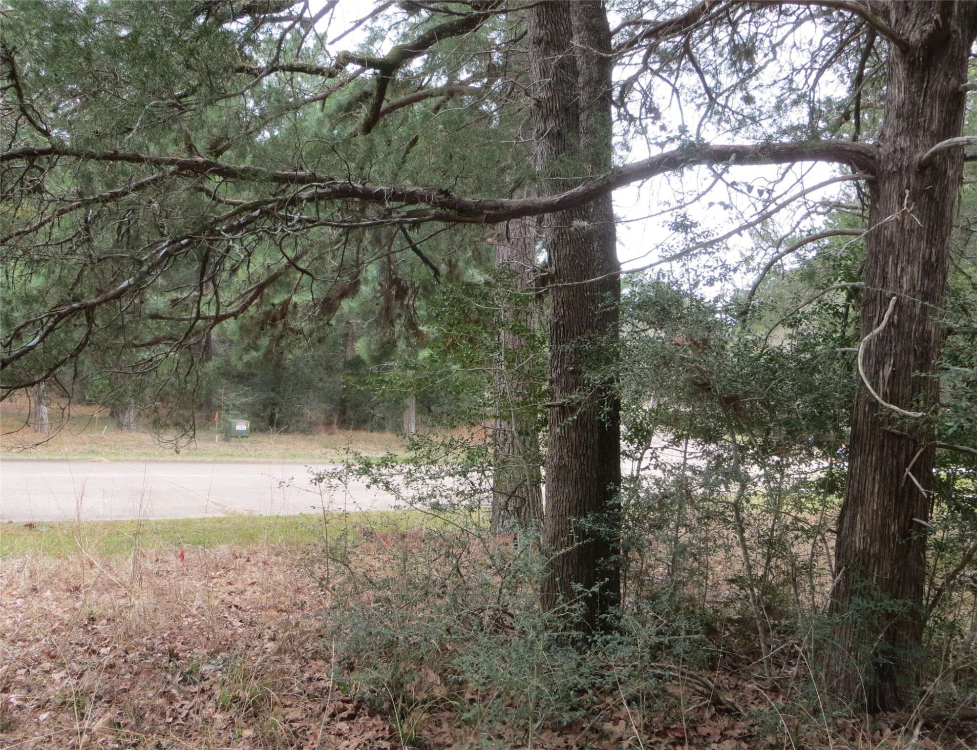 New Ulm, TX 78950,TBD Pine Valley Drive