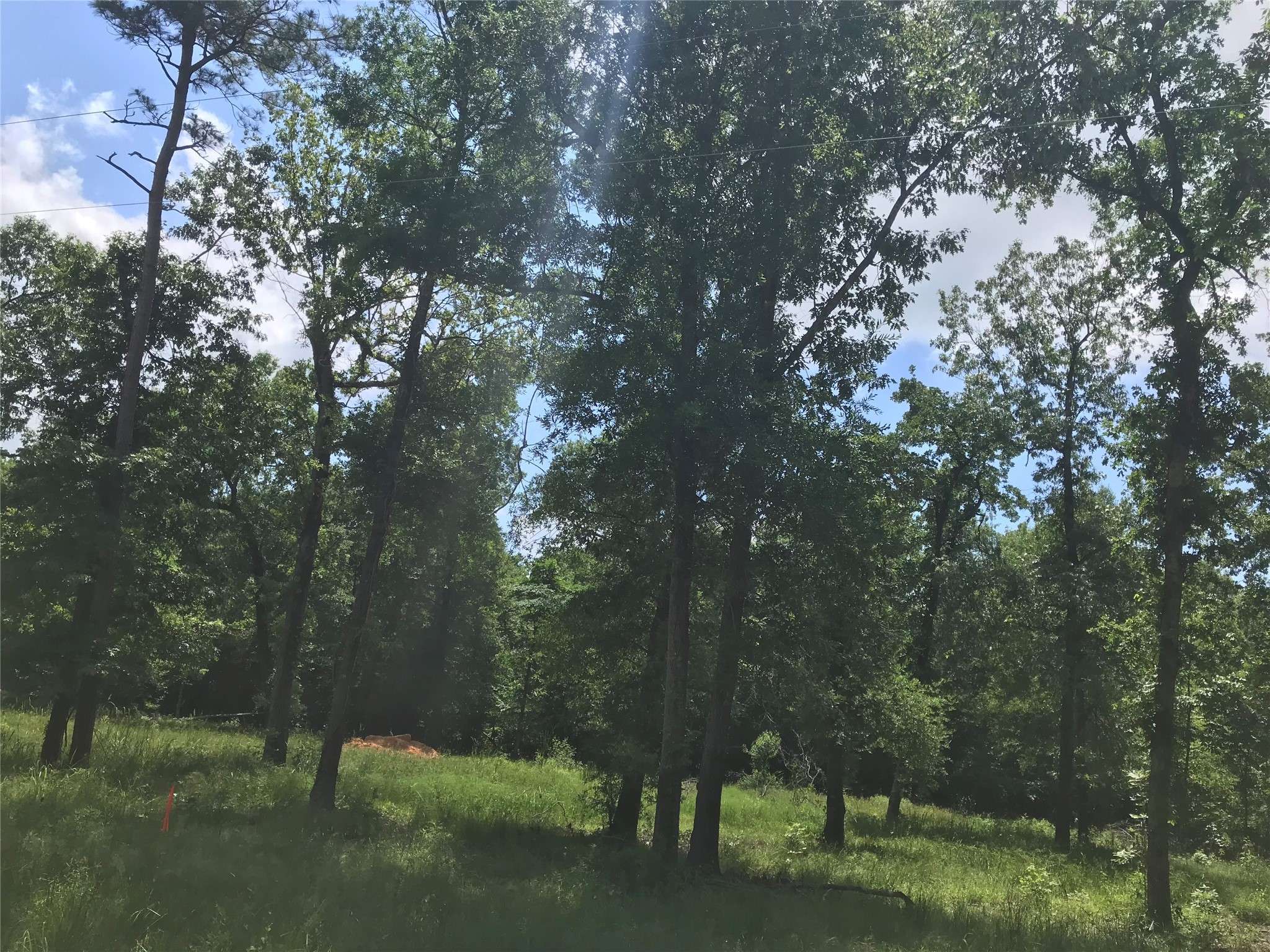 Livingston, TX 77351,TBD Arrowhead Trail