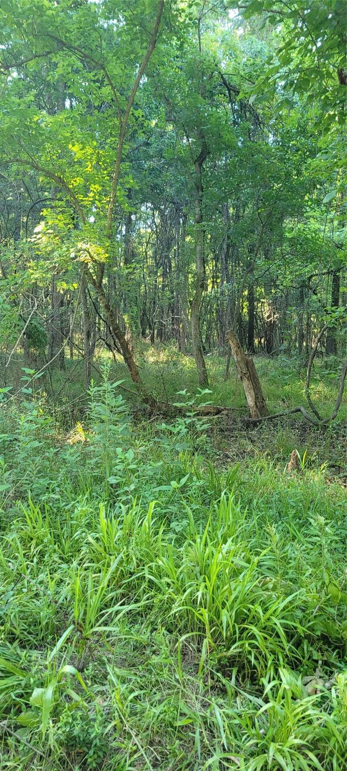 Dayton Lakes, TX 77535,000 Big Pecan DR