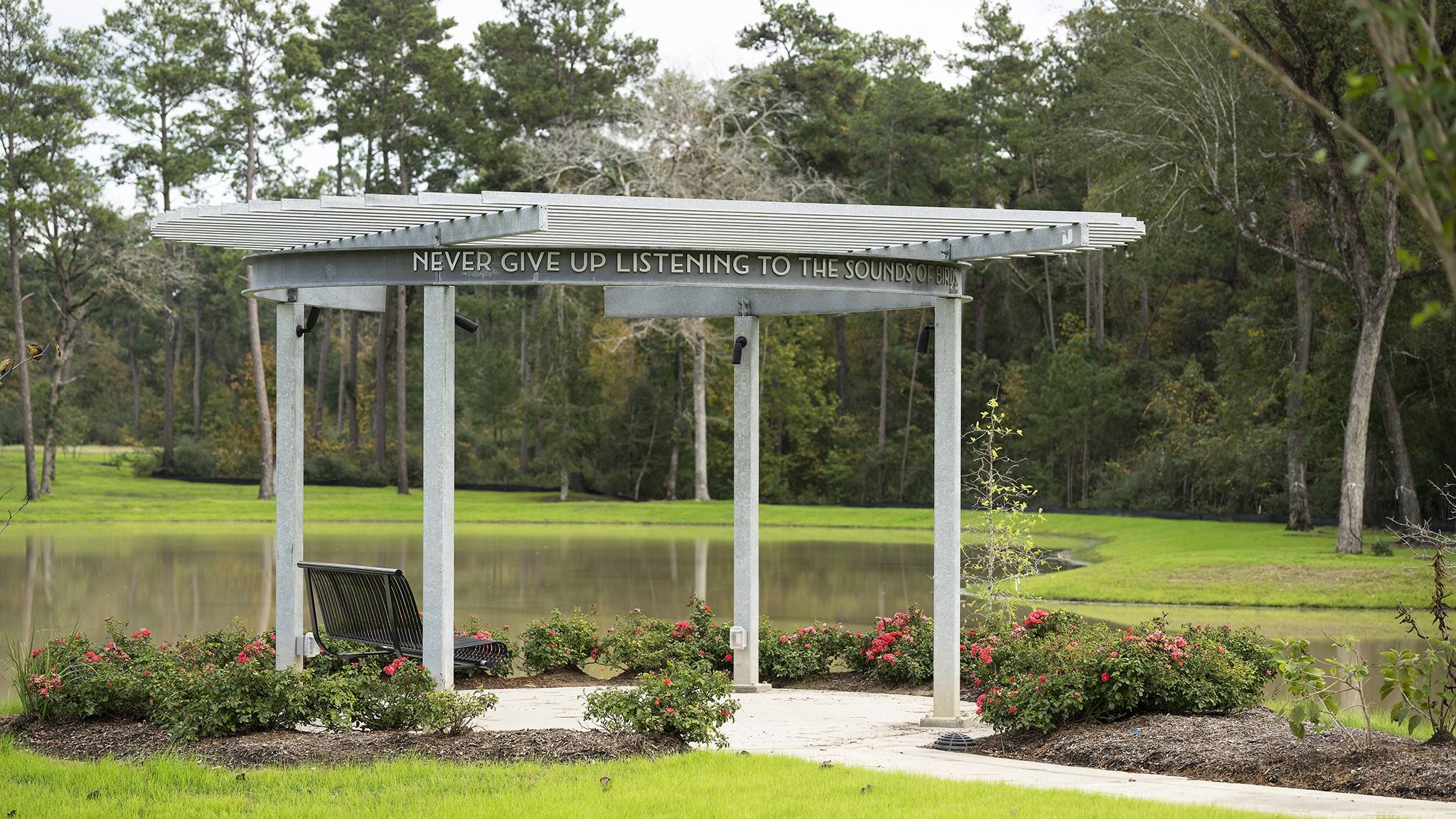 Magnolia, TX 77354,521 Red Eyed Vireo CT