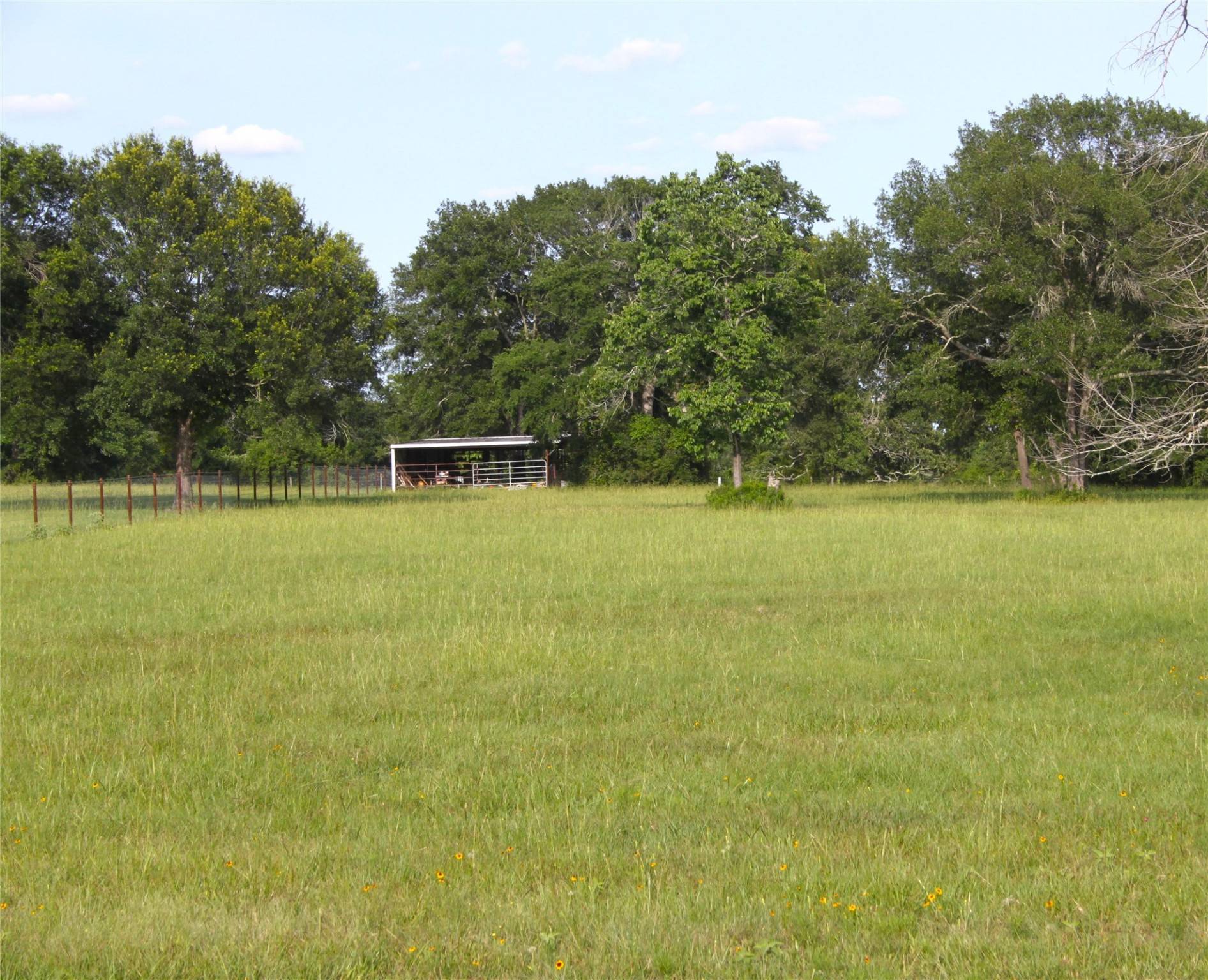 Hempstead, TX 77445,27038 Muckelroy RD