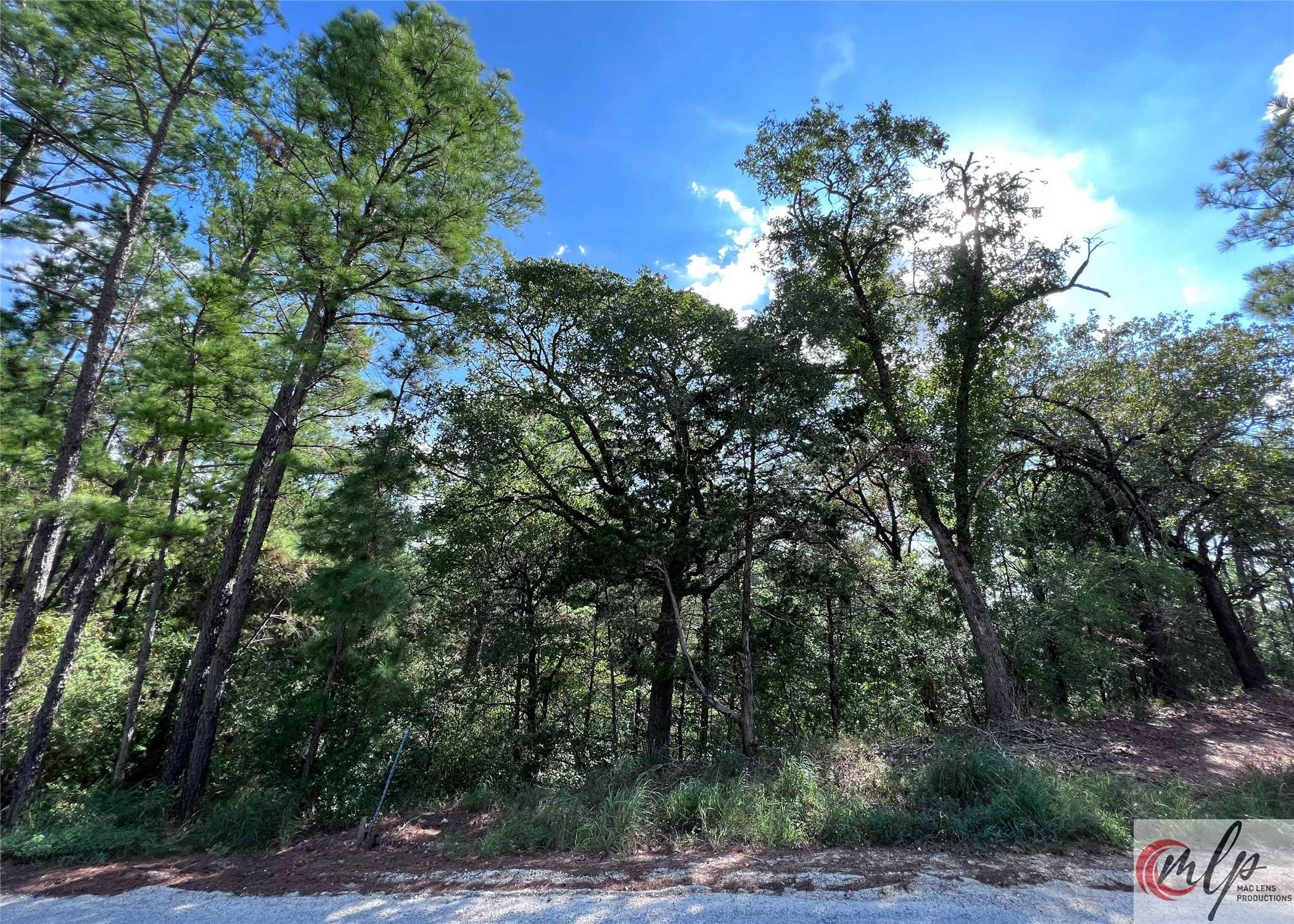 Bastrop, TX 78602,133 Lamaloa LN