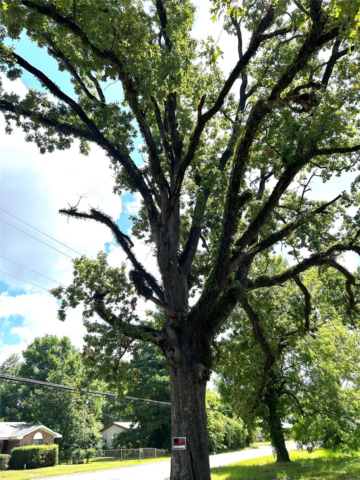 Livingston, TX 77351,TBD Martin Luther King DR