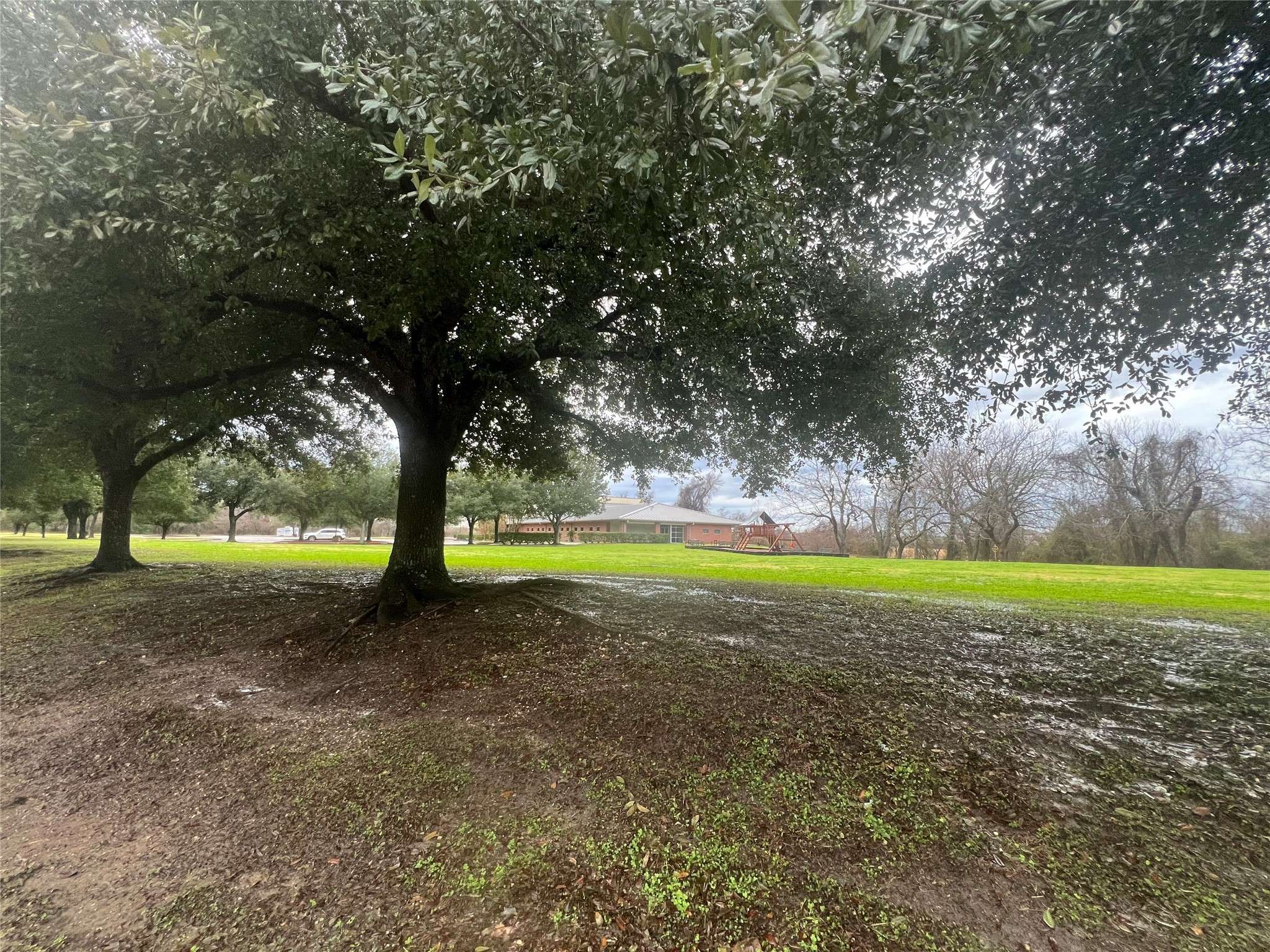 Sugar Land, TX 77498,1123 Burney RD