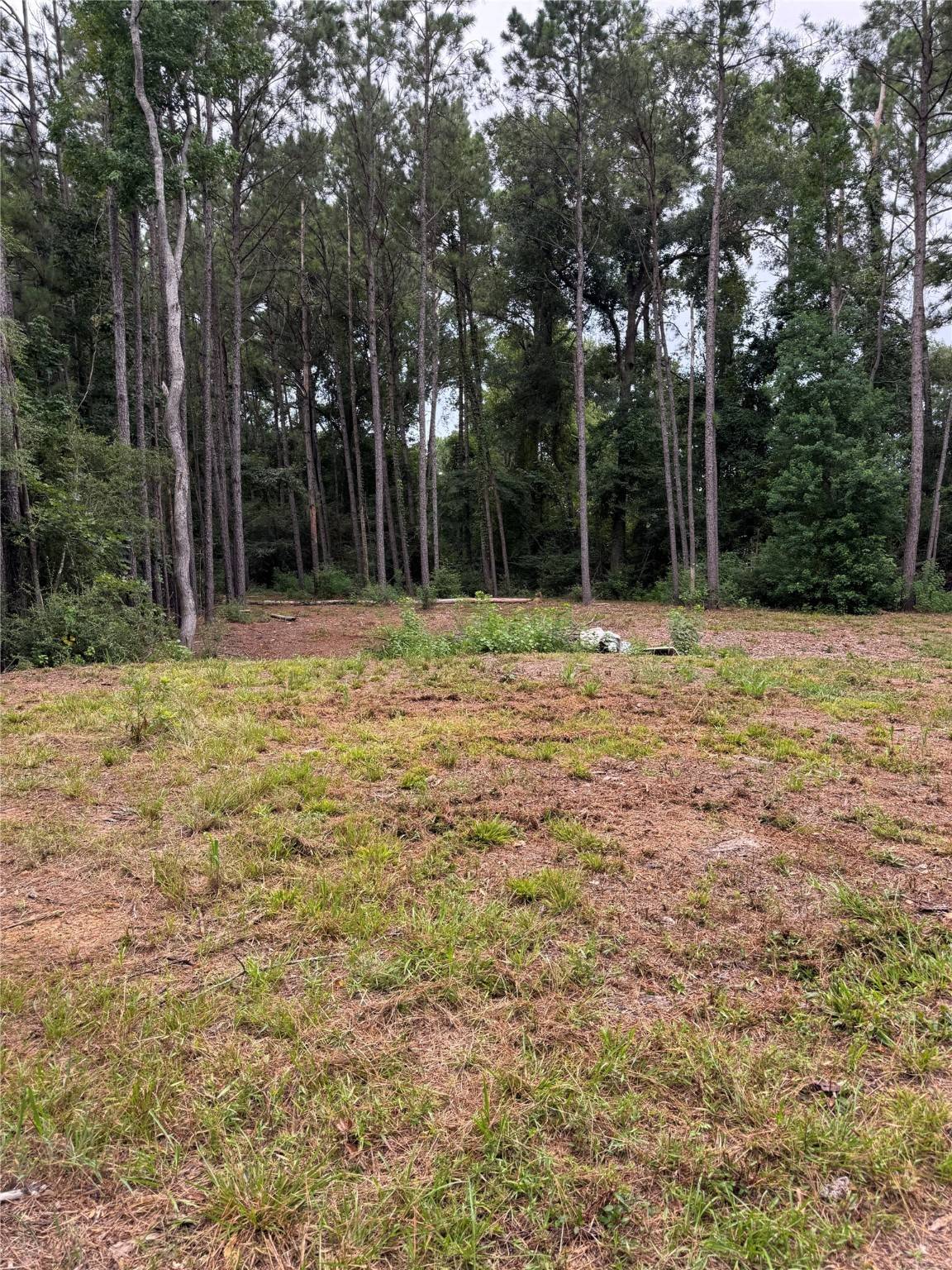 Livingston, TX 77351,147 Neel RD