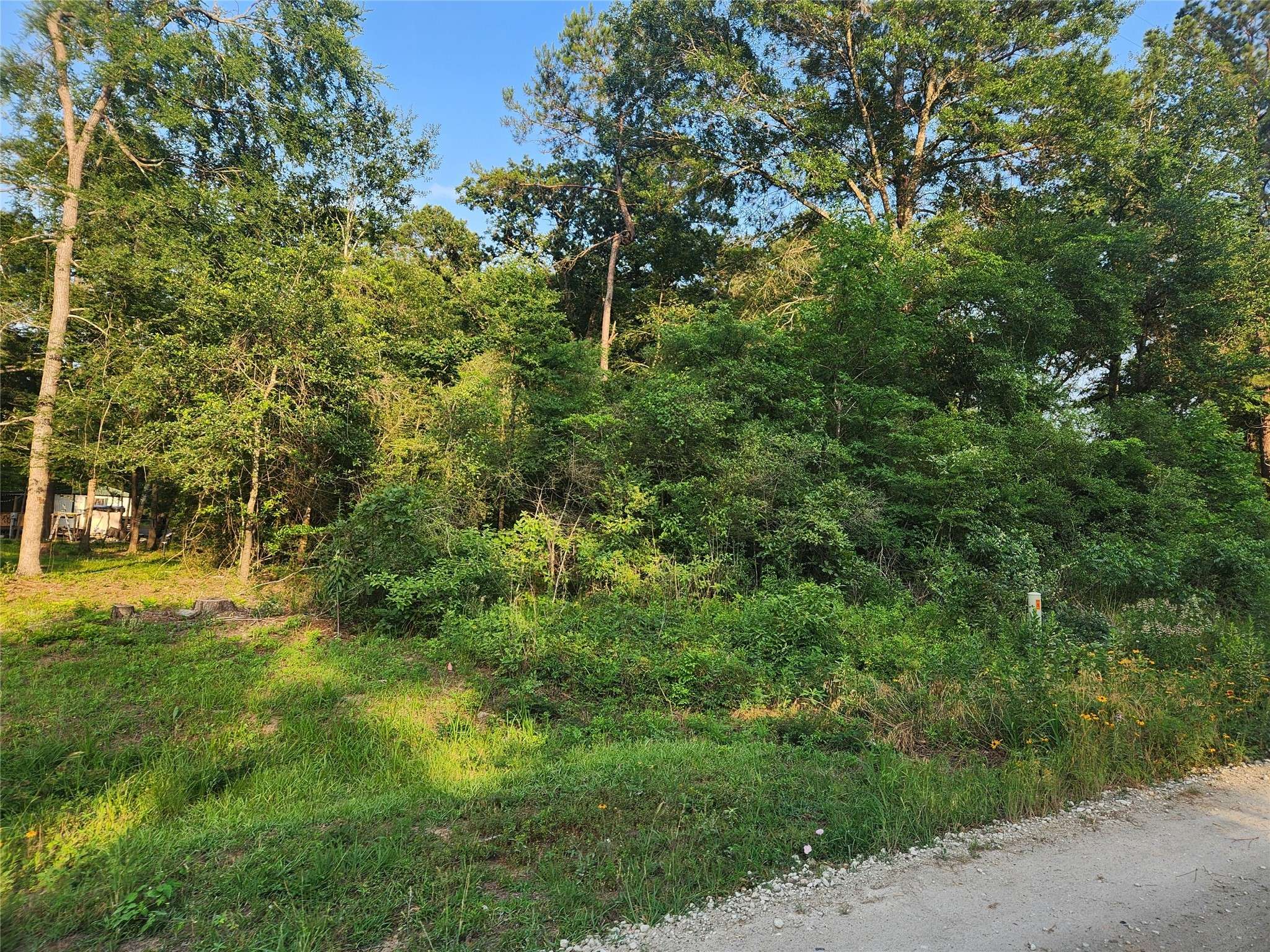 Plantersville, TX 77363,Lot 18 Weeping Willow LN