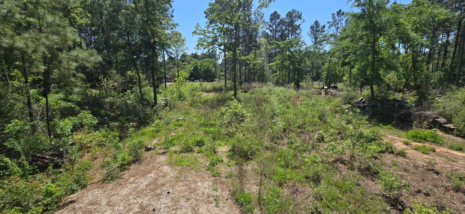 Plantersville, TX 77363,7898 Hawthorne LN