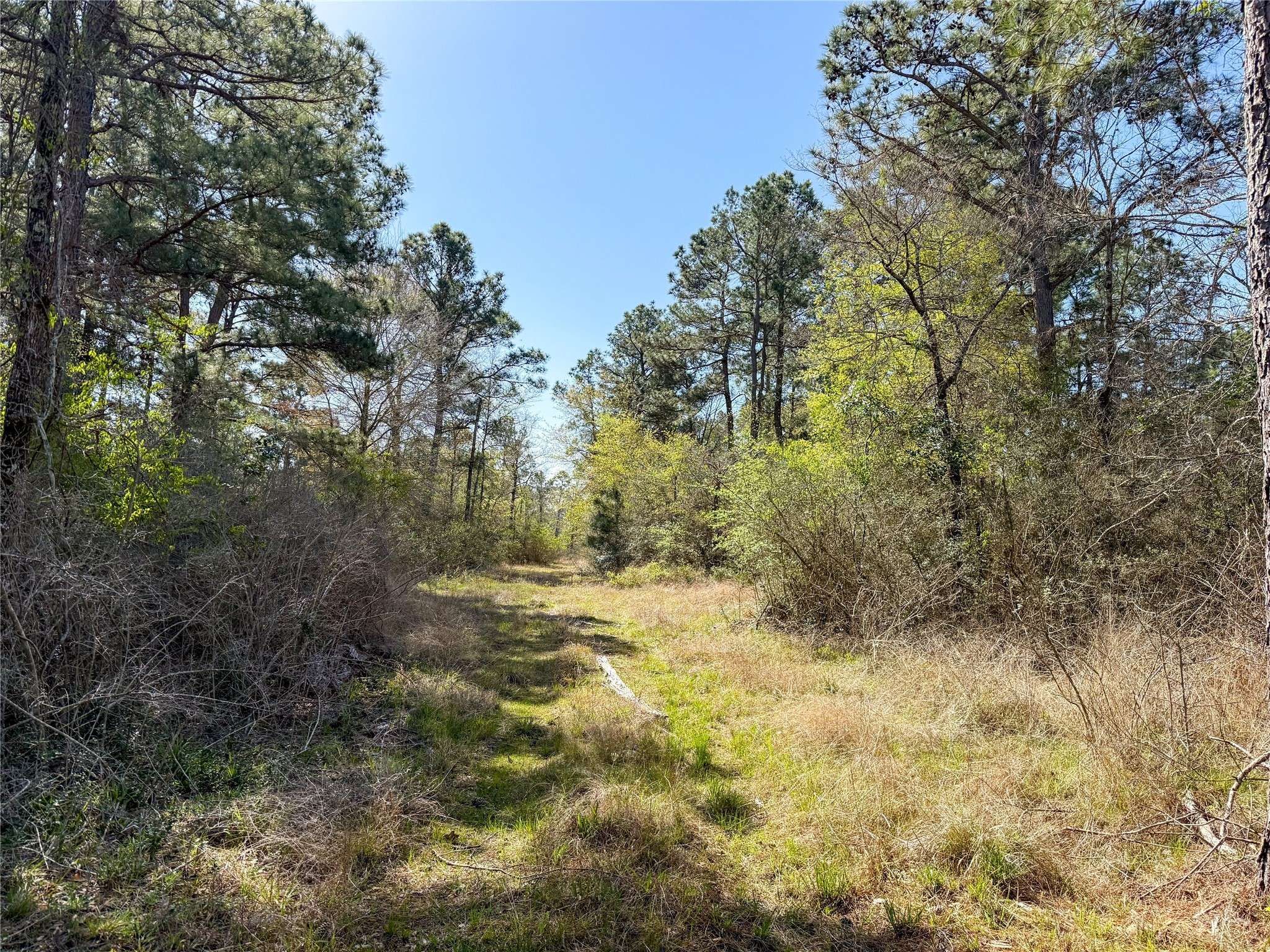 Huntsville, TX 77320,15.86 acres Round Prairie Rd
