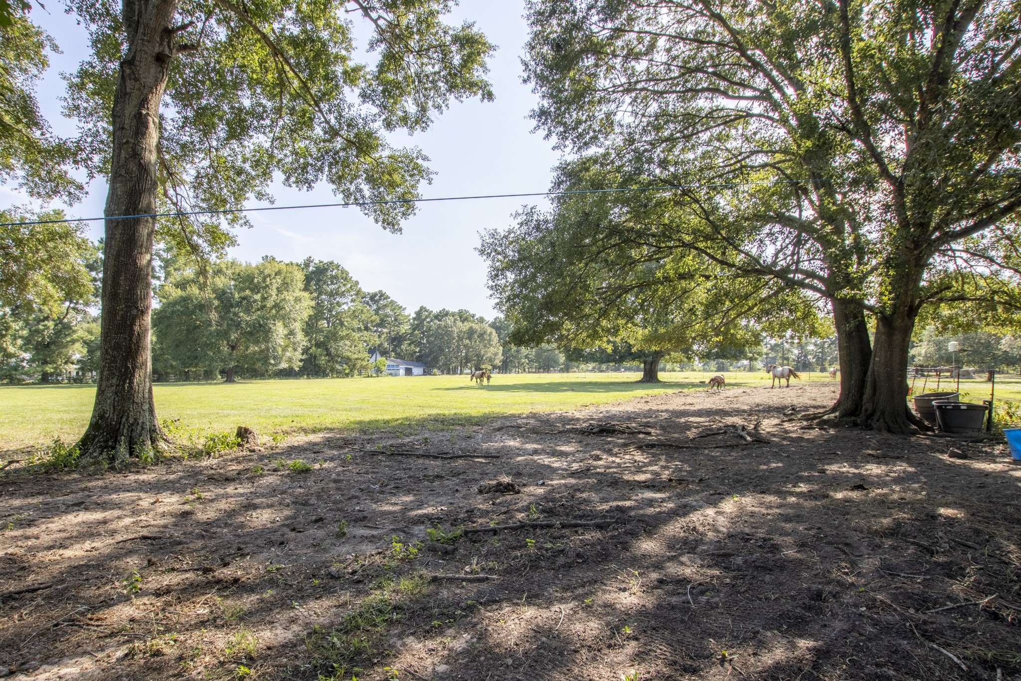 Montgomery, TX 77356,TBD N North FM 1486 RD