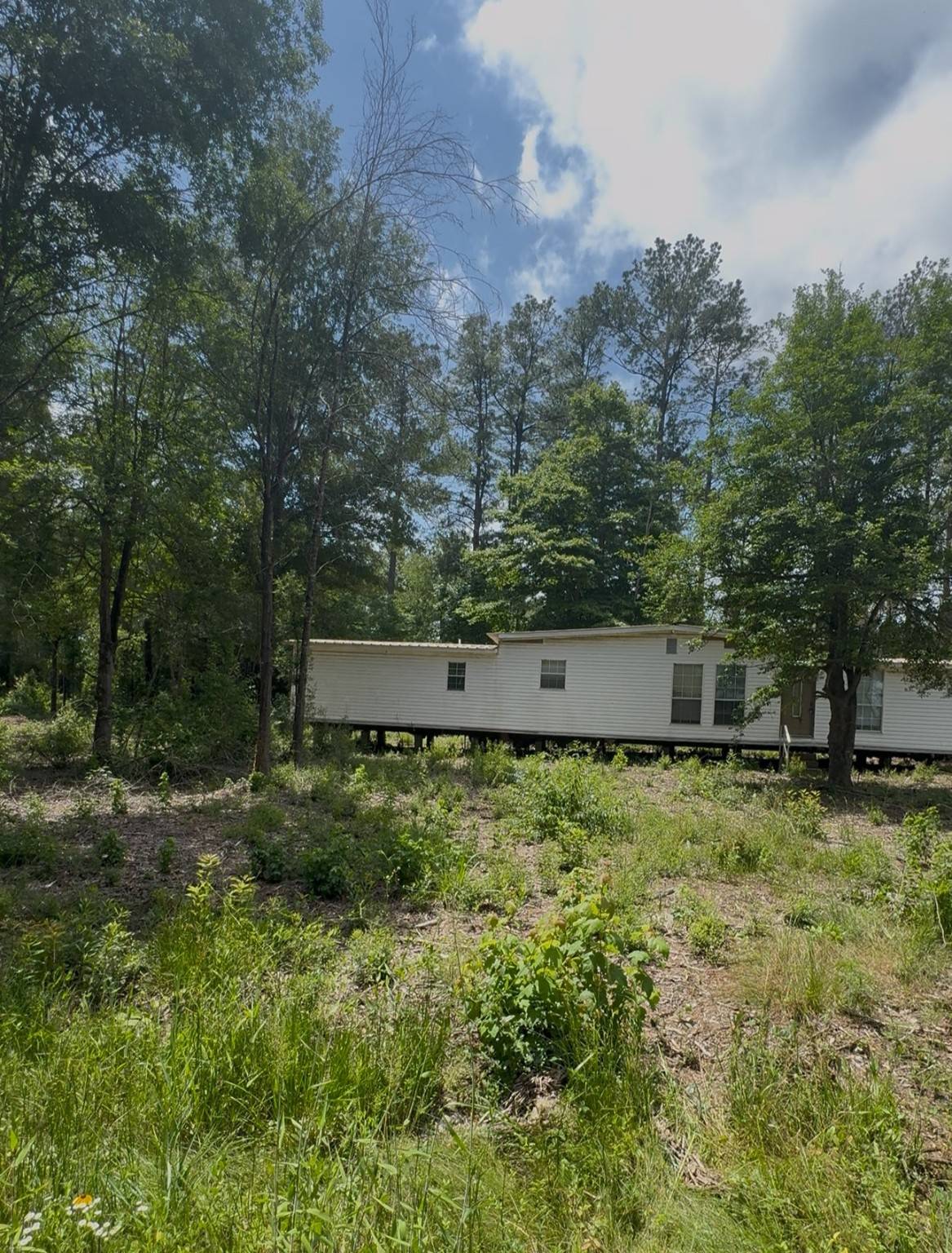 Buna, TX 77612,0 Feldschau